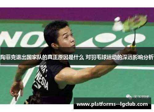陶菲克退出国家队的真正原因是什么 对羽毛球运动的深远影响分析