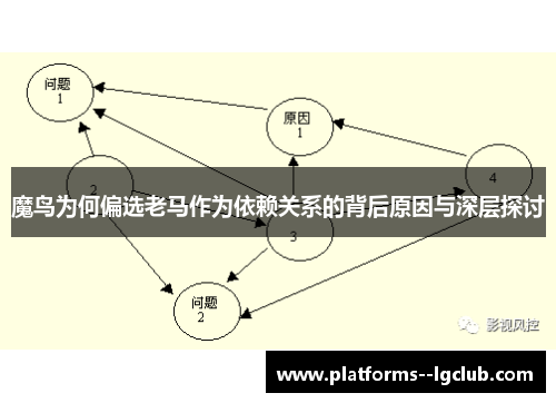 魔鸟为何偏选老马作为依赖关系的背后原因与深层探讨